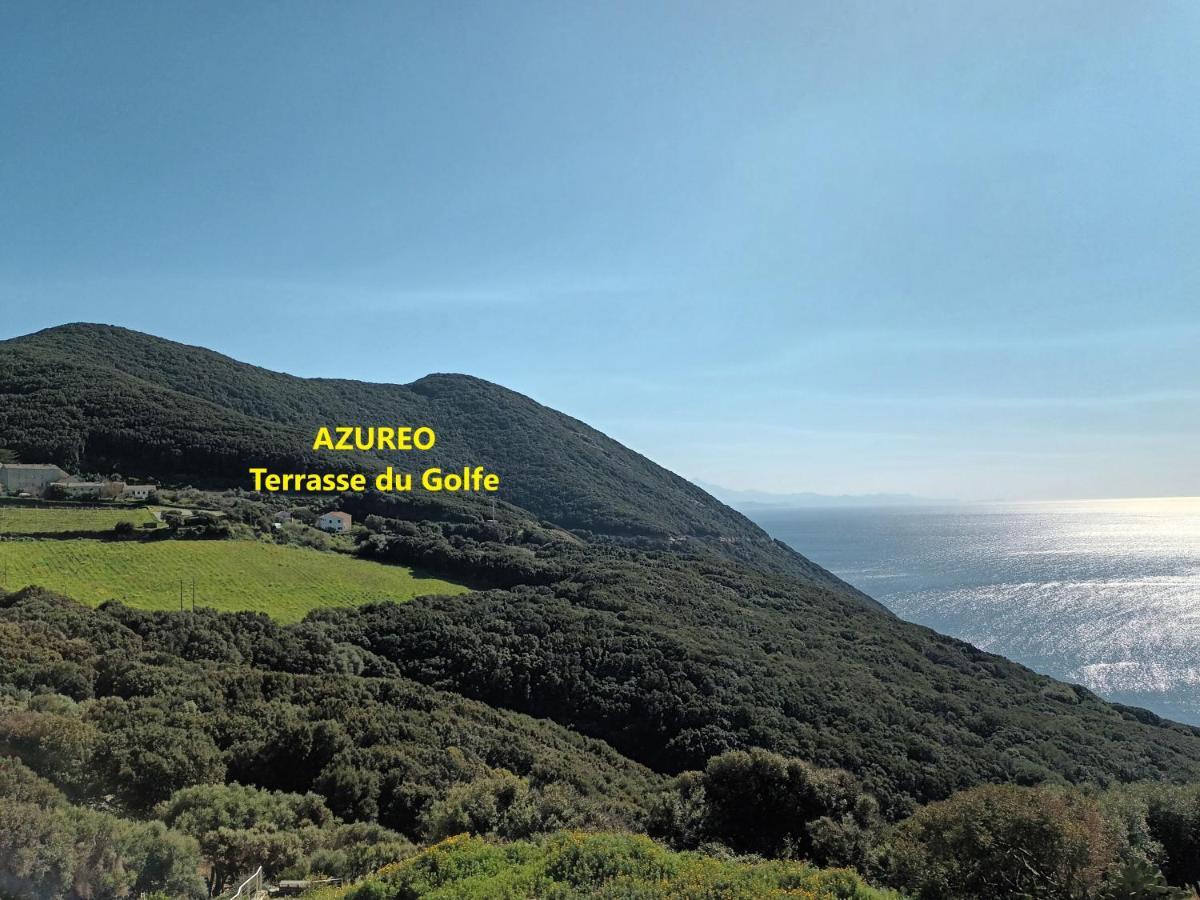 Willa Azureo - Terrasse Du Golfe Morsiglia Zewnętrze zdjęcie
